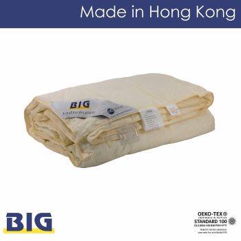 BIG+90%歐洲白鵝羽絨夏被