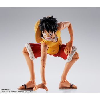 預售 [SHF]  蒙奇.D.路飛 -頂上戰爭-