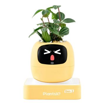 PLANTSIO 智能盆栽 IVYGEN2/YELLOW