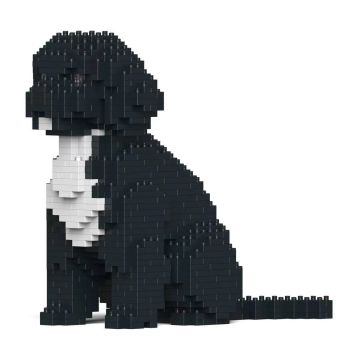 JEKCA  可卡贵宾犬(黑)