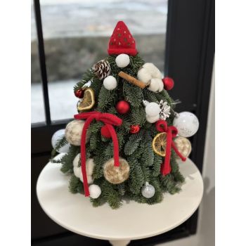 丹麥進口諾貝松真聖誕樹