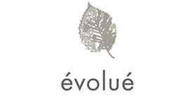 Evolue main iamge