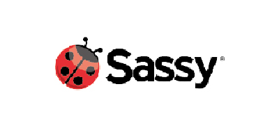 Sassy main iamge