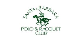 Polo main iamge