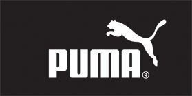 Puma main iamge